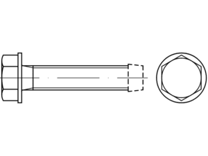 DIN 7500 D self-tapping screws self-thread forming screws - Eurobolt metal screws