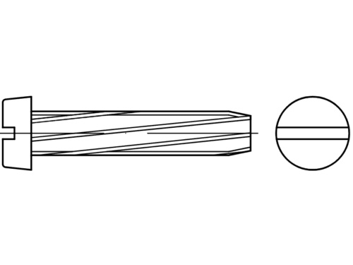DIN 7513 B wkręty samogwintujące z łbem walcowym na śrubokręt plaski - Wkręty do metalu Eurobolt