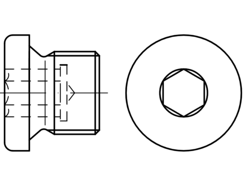 DIN 908 flange plugs with Allen socket - Plugs - Eurobolt grease nipples