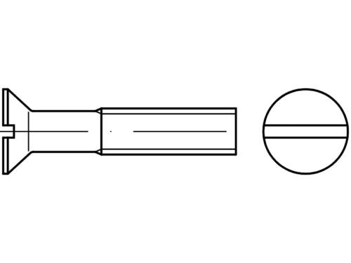 DIN 963 / ISO 2009 / PN 82207 countersunk head screws for flat screwdriver - Eurobolt metal screws